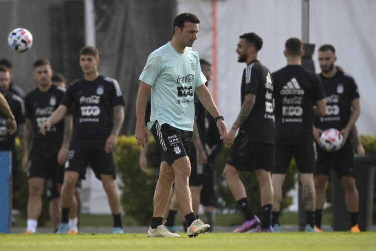el técnico argentino lionel scaloni