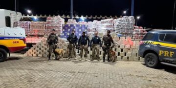 Hallada una tonelada de cocaína oculta en arena para gatos en Brasil