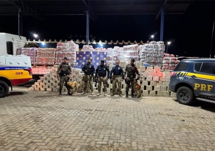 Hallada una tonelada de cocaína oculta en arena para gatos en Brasil