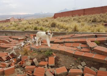 Un torbellino causa destrozos en El Alto. Foto: Pedro Luna