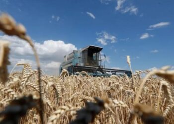Rusia suspende acuerdo de exportación de cereales ucranianos tras ataque en Crimea