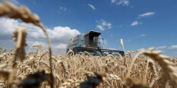 Rusia suspende acuerdo de exportación de cereales ucranianos tras ataque en Crimea