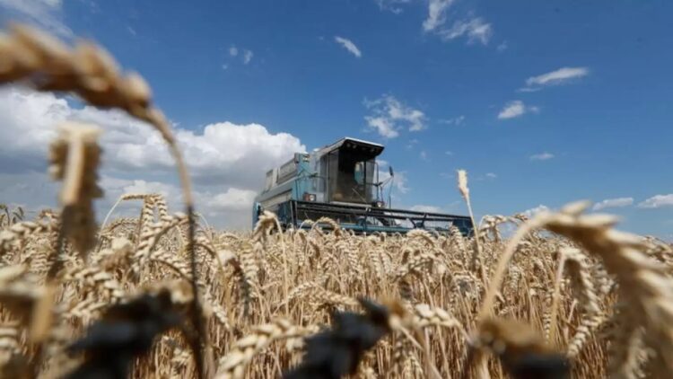 Rusia suspende acuerdo de exportación de cereales ucranianos tras ataque en Crimea