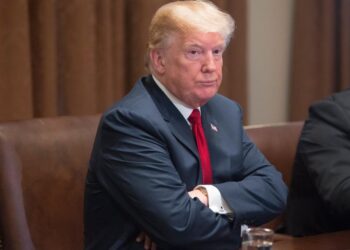 Trump esperaba surfear una "ola" republicana hacia una nueva candidatura presidencial en 2024 tras las elecciones.
