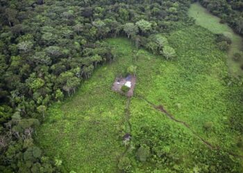 Destrucción del hábitat en la Amazonía colombiana . Foto: AFP.