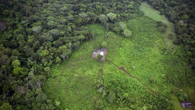 Destrucción del hábitat en la Amazonía colombiana . Foto: AFP.