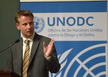 UNODC: En Bolivia, los cultivos de coca crecen en 4% entre 2020 y 2021