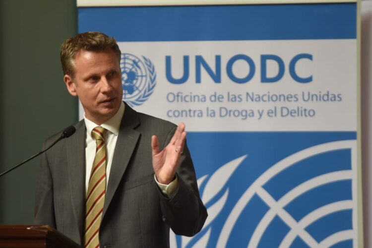 UNODC: En Bolivia, los cultivos de coca crecen en 4% entre 2020 y 2021