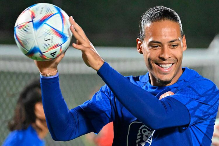 van_dijk.jpg