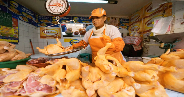 vendedora-pollo