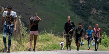 Venezolanos hacen batir récord de migrantes en selva de Panamá rumbo a EEUU