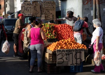 La imagen es solo referencial