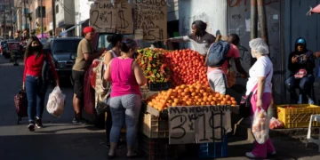 La imagen es solo referencial