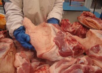 Funcionarios decomisaron carne de cerdo de mataderos clandestinos. Foto: Archivo operativos