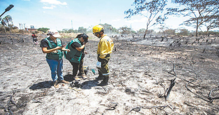 Personal de Medio Ambiente logró hacer un breve dignóstico de daños.