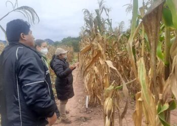 El Gobierno dice que sequías durarán hasta marzo de 2023 y afectarán a más de 60 municipios