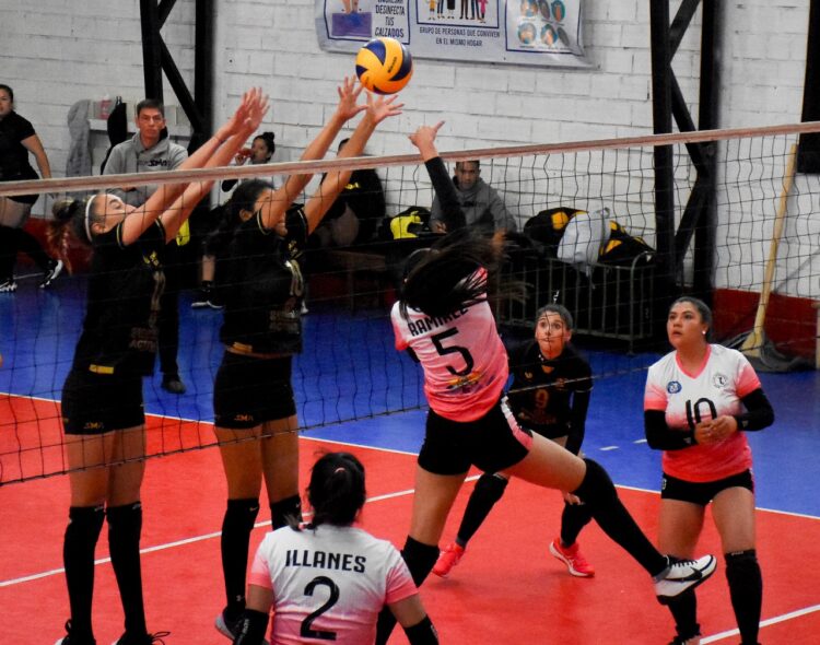 san martin_olympic_albert einstein_liga superior_voleibol
