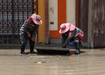 Las trabajadoras.