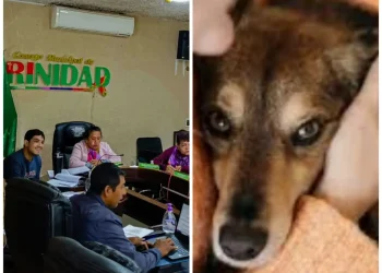 La Alcaldía de Trinidad impulsa una ley que beneficiará a los contribuyentes con el 15% de descuento a quienes adopten animales callejeros. FOTO: Beni Noticias y RRSS