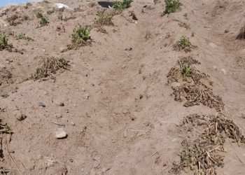 La sequía en El Alto