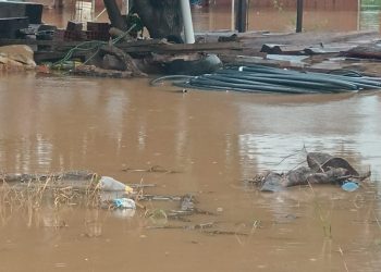 Al menos 200 familias fueron evacuadas de sus viviendas a causa de las inundaciones. Foto: Canal 14-Cuatro Cañadas
