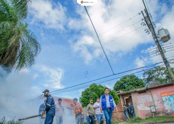 Un trabajo coordinado permitió la eliminación de casi 1.000.000 de criaderos de mosquitos trasmisores del dengue. Foto: Ministerio de Salud