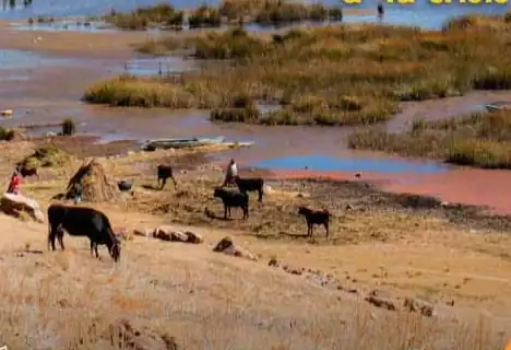 Crisis del Titicaca: avanza desplazamiento ambiental en la cuenca Katari. FOTO: Fundación Tierra