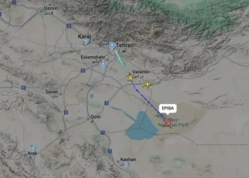 El flujo aéreo se restablecerá paulatinamente/Irna