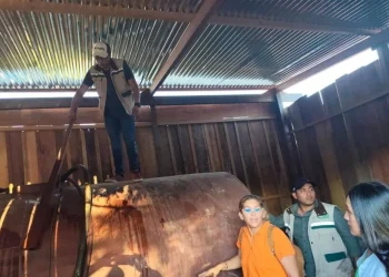 En una de las viviendas había un tanque de gran capacidad/ANH