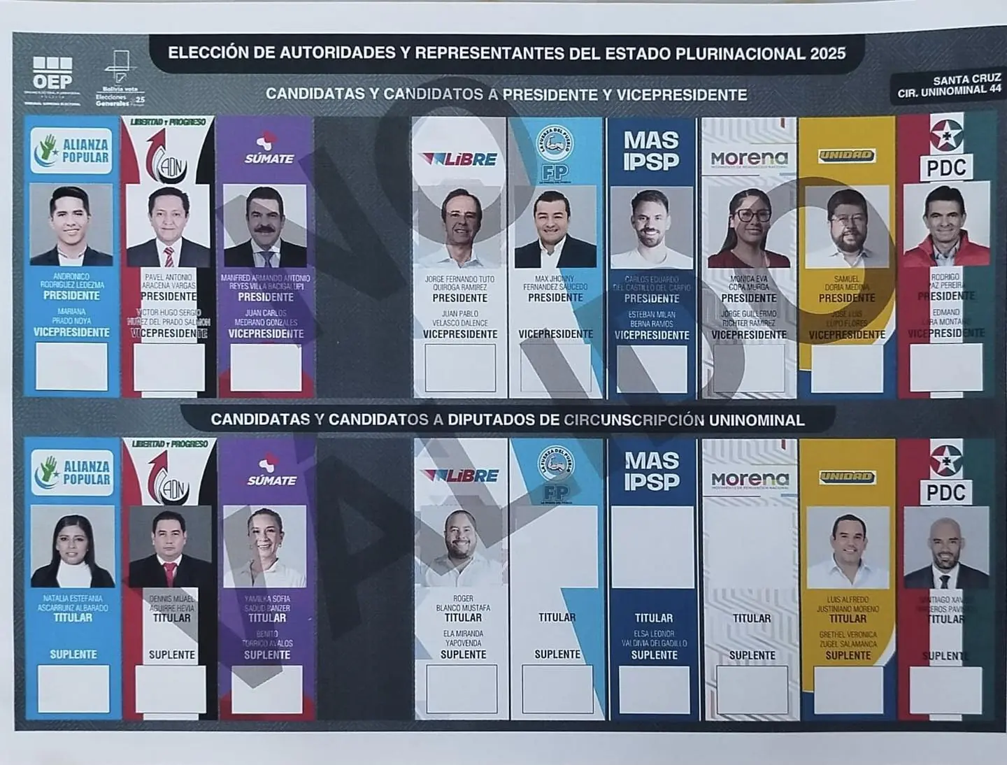Papeleta electoral incluirá franja gris donde estaba el espacio de NGP