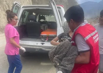 Un niño de ocho años logró sobrevivir al accidente/RRSS