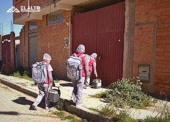 Las brigadas realizan el rastrillaje/GAMEA