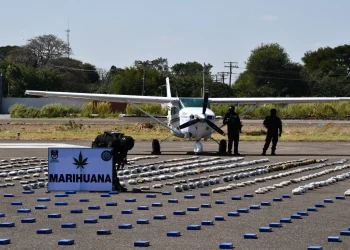 En seis operativos, la FELCN decomisa 1,9 toneladas de droga