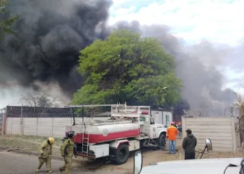 Se movilizaron varias grupos de bomberos/ABI