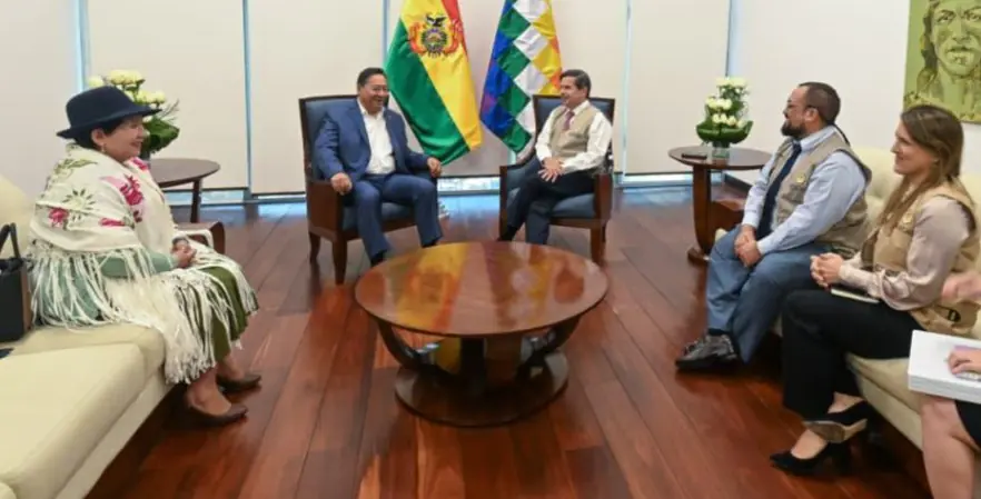 Gobierno se reúne con misiones electorales de la OEA y UE