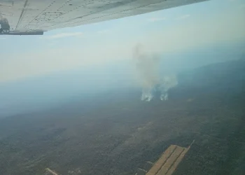 Se identificaron incendios en zonas aisladas e inaccesibles/Min. Defensa