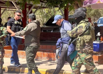 Fue entregado a la Policía Federal de Brasil/FELCN