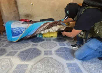 La droga estaba en dos bolsas bajo una cama/FELCN