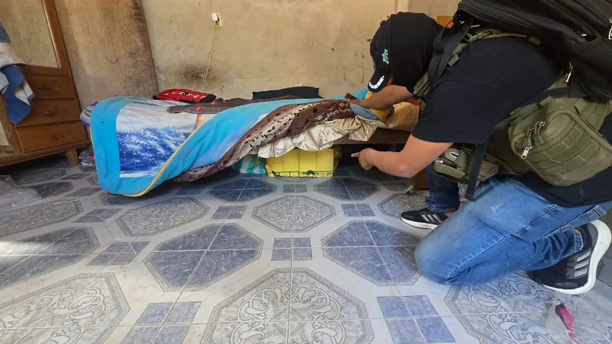 La droga estaba en dos bolsas bajo una cama/FELCN