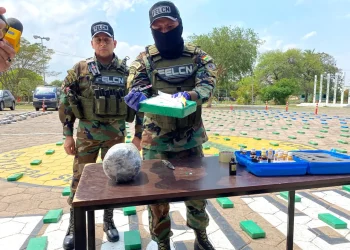 En 45 días, operativos antidroga dejan 32 toneladas incautadas