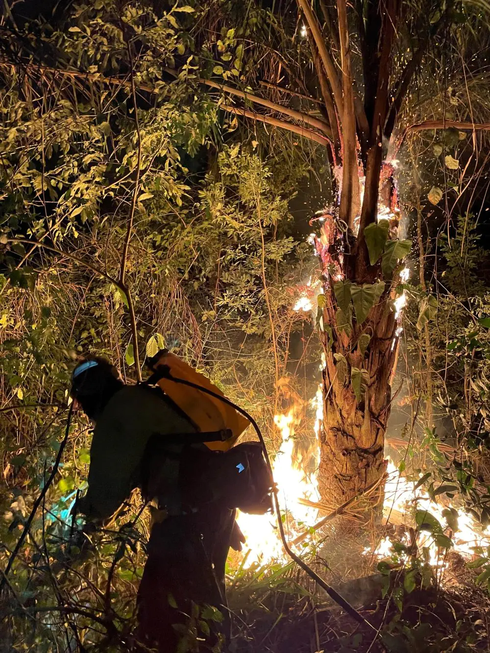 Uno de los incendios de magnitud se registra en el municipio de Portachuelo. FOTO: RRSS