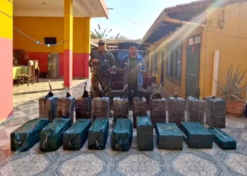 Fuerza antidroga decomisa casi media tonelada de cocaína en Santa Cruz