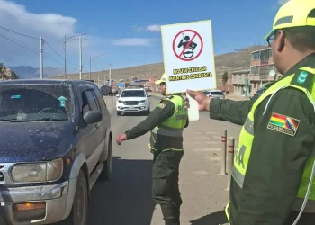 Los uniformados realizaban un control de rutina/Policía Boliviana