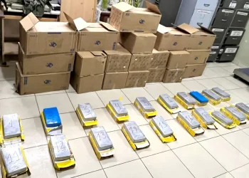 Los paquetes de droga hallados en cajas de avena/FELCN
