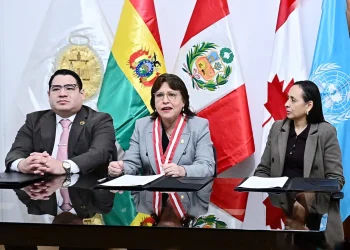 Bolivia y Perú crearán un equipo conjunto para combatir el crimen transfronterizo