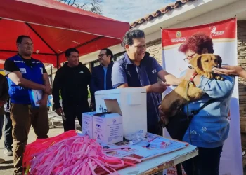 Este sábado y mañana domingo vacunarán a los perros en Sucre. FOTO: Ministerio de Salud
