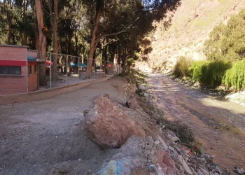 Concejal denuncia que el parque Bartolina Sisa no cuenta con obras hidráulicas. FOTO: Javier Escalier
