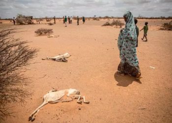 Una de cada cinco personas carece de agua suficiente en África Oriental.
