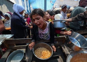 Cada día es una odisea buscar comida en Gaza/AFP