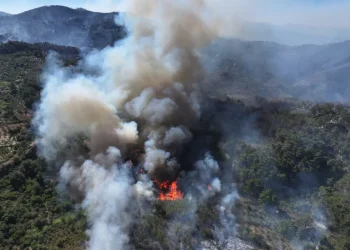 Los vientos ayudan a la propagación del fuego/AFP